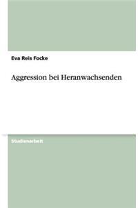 Aggression bei Heranwachsenden