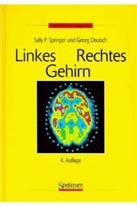 Linkes / Rechtes Gehirn