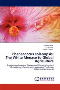 Phenacoccus Solenopsis