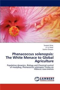 Phenacoccus Solenopsis