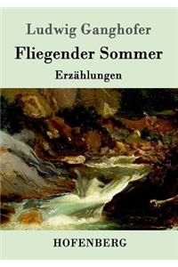 Fliegender Sommer