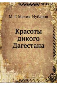 Красоты дикого Дагестана