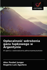 Oplacalnośc wdrożenia gazu lupkowego w Argentynie