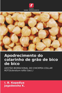 Apodrecimento do colarinho de grão de bico de bico