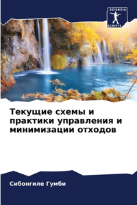 Текущие схемы и практики управления и минl