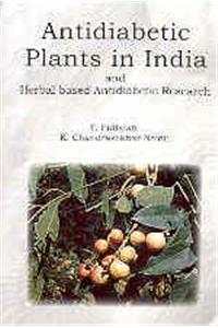 Anti-diabetic Plants in India and Herbal Based Anti-diabetic Research