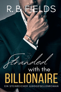 Stranded With the Billionaire