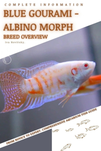 Blue Gourami - Albino Morph