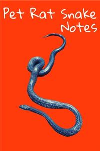 Pet Rat Snake Notes