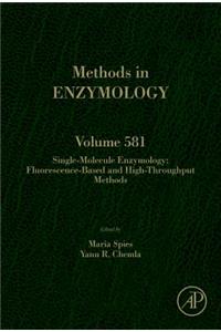 Single-Molecule Enzymology: Fluorescence-Based and High-Throughput Methods