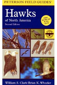 Field Guide to Hawks of North America