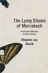 The Lying Stones of Marrakech
