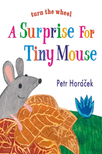 Surprise for Tiny Mouse
