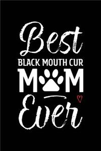 Best Black Mouth Cur Mom Ever