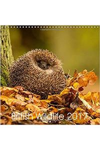 British Wildlife 2017 2017