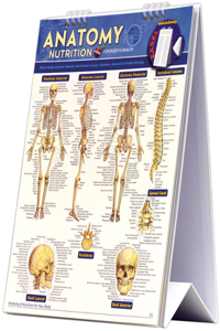 Anatomy & Nutrition for Body & Health Easel Book: A Quickstudy Reference Tool with Major Body Systems Labeled, Nutritional Science, Vitamins, Minerals & Herbal Therapy