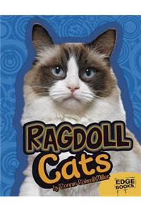 Ragdoll Cats