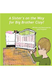 Sister's on the Way for Big Brother Clay