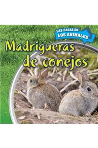 Madrigueras de Conejos (Inside Rabbit Burrows)