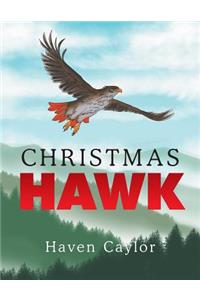 Christmas Hawk