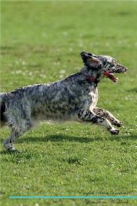 English Setter Affirmations Workbook English Setter Presents