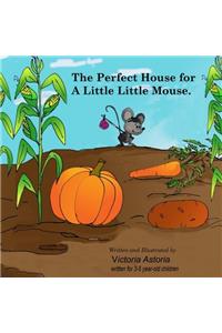 The Perfect House for a Little Little Mouse