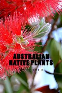 Australian Native Plants