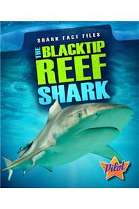Blacktip Reef Shark