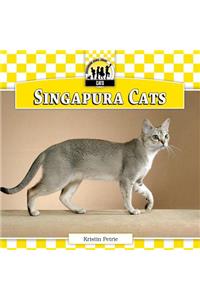 Singapura Cats