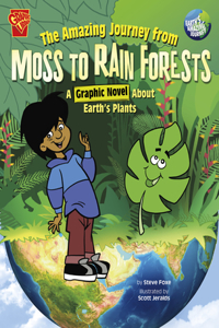 Amazing Journey from Moss to Rain Forests
