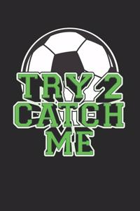 Try To Catch Me