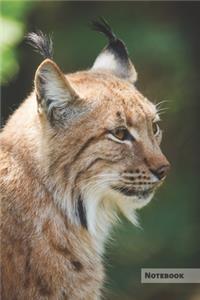 Lynx Notebook