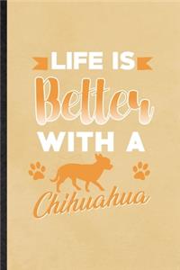 Life Is Better with a Chihuahua