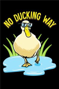 No Ducking Way