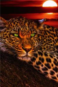 Cool Leopard at Sunset with Green Eyes Journal: Take Notes, Write Down Memories in this 150 Page Lined Journal