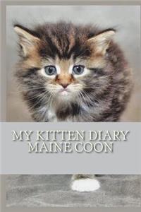 My kitten diary