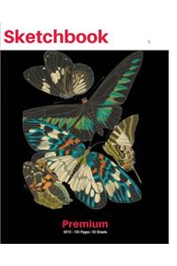 SketchBook