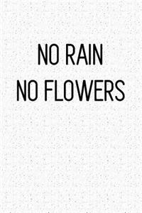 No Rain No Flowers