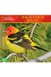 National Geographic Backyard Birds 2019 Calendar