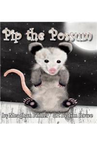 Pip the Possum