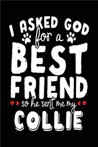 I Asked God For A Best Friend So He Sent Me My Collie