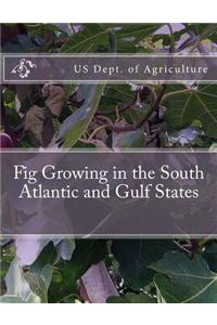 Fig Growing in the South Atlantic and Gulf States