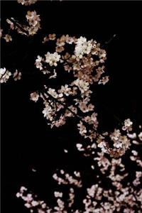 Cherry Blossom In The Night Sky Journal: 150 lined pages, softcover, 6" x 9"