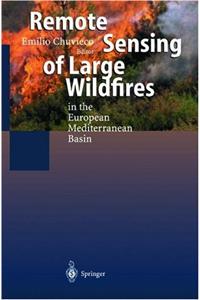 Remote Sensing of Large Wildfires