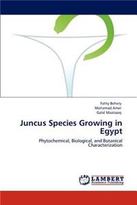 Juncus Species Growing in Egypt