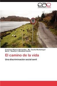 camino de la vida