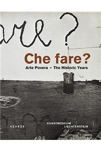 Che Fare?: Arte Povera: The Historic Years