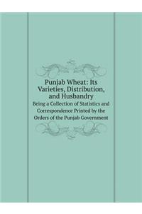 Punjab Wheat