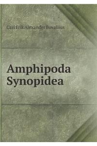 Amphipoda Synopidea