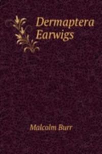 DERMAPTERA EARWIGS